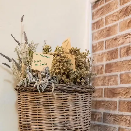 Holiday home Golden Nest